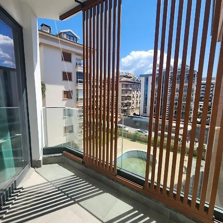 Serenity Oba Royal No/19 1+1